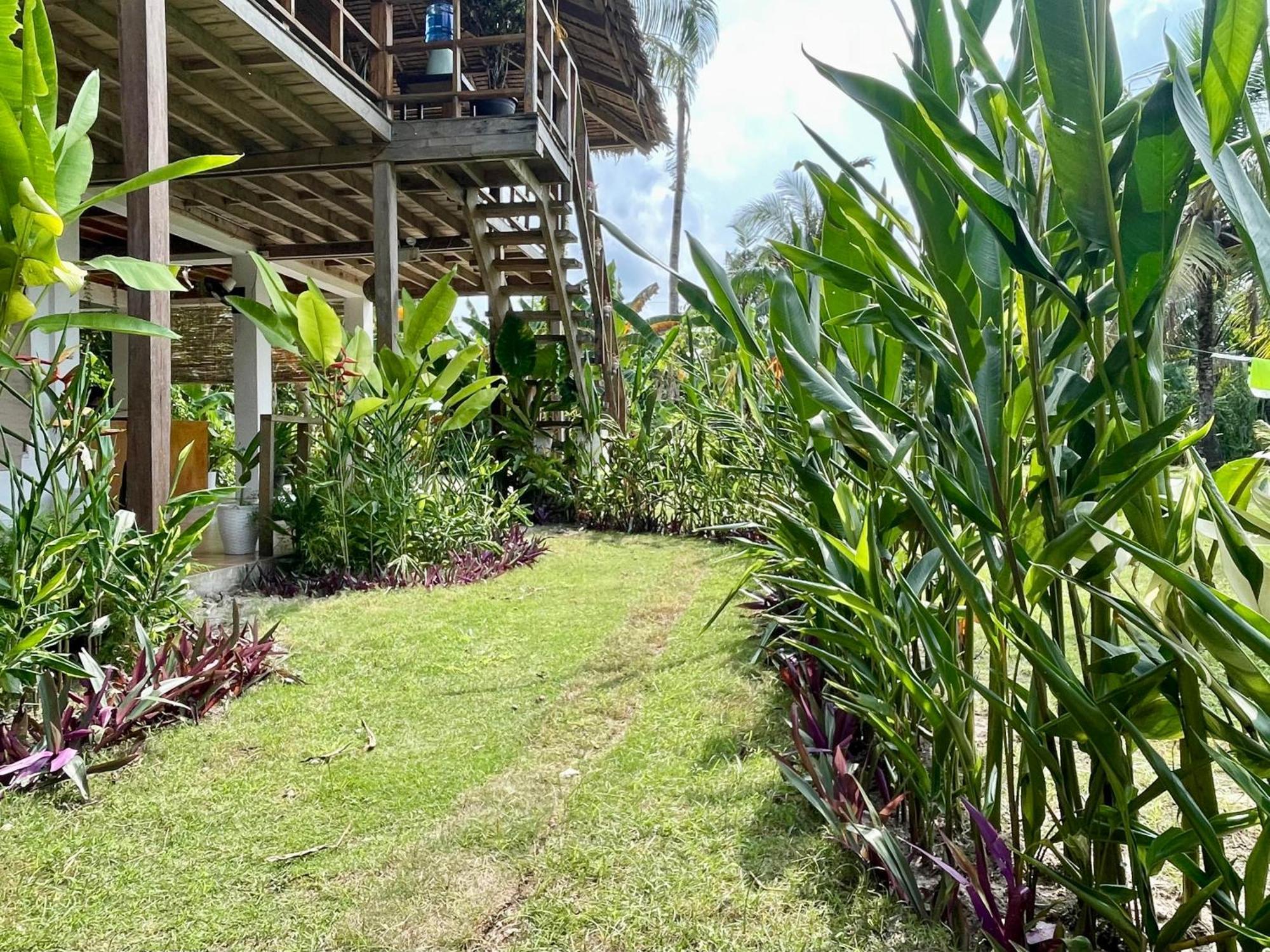 Siargao Sunflower Suites General Luna  Exterior foto